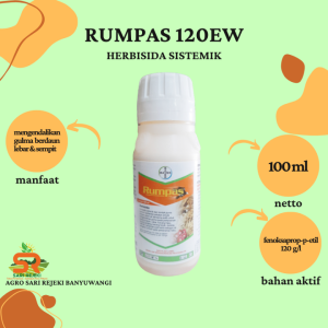 Rumpas