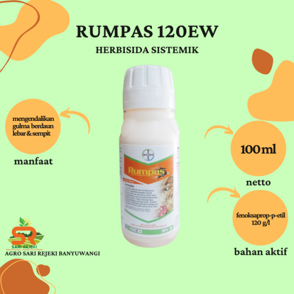 Rumpas