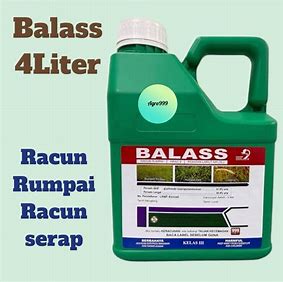 BALASS