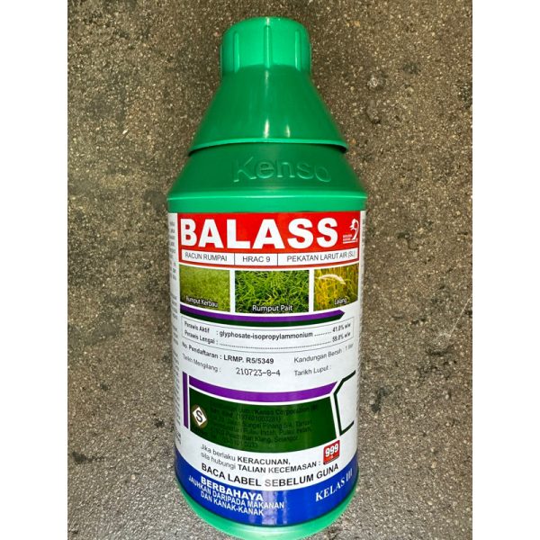 BALASS - Image 2