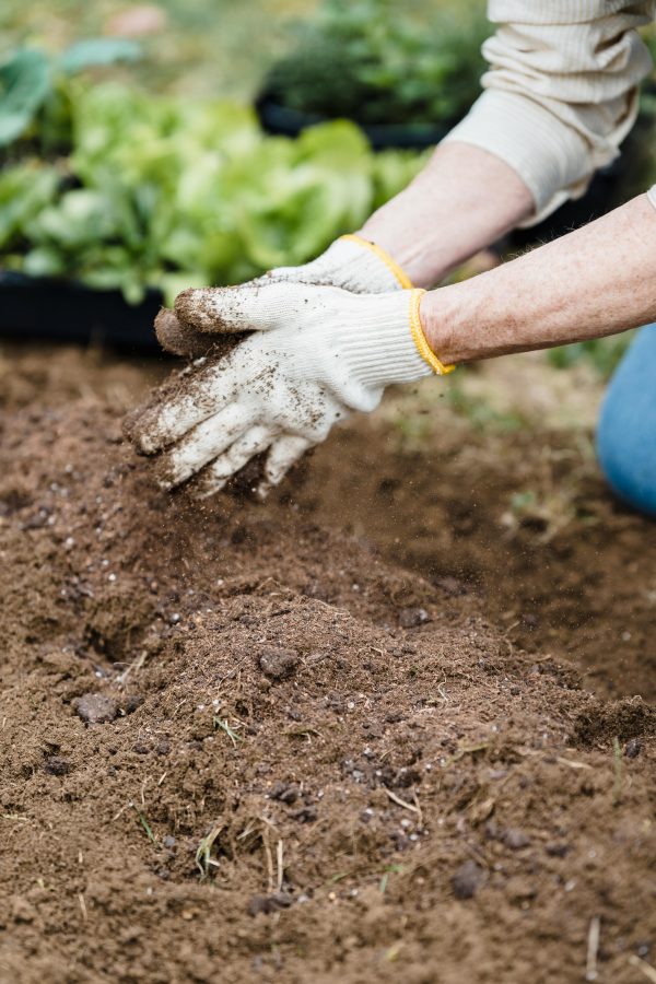 Compost - Image 3