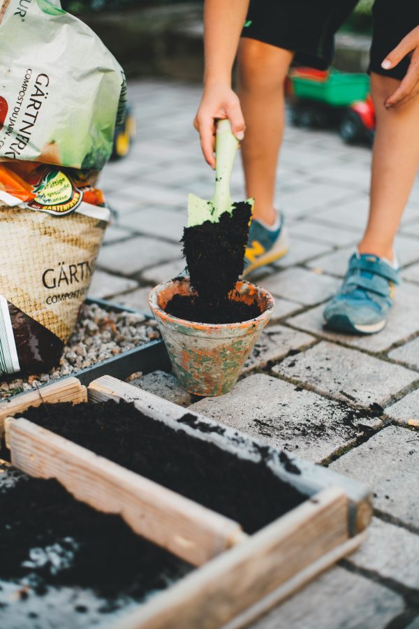 Compost - Image 2