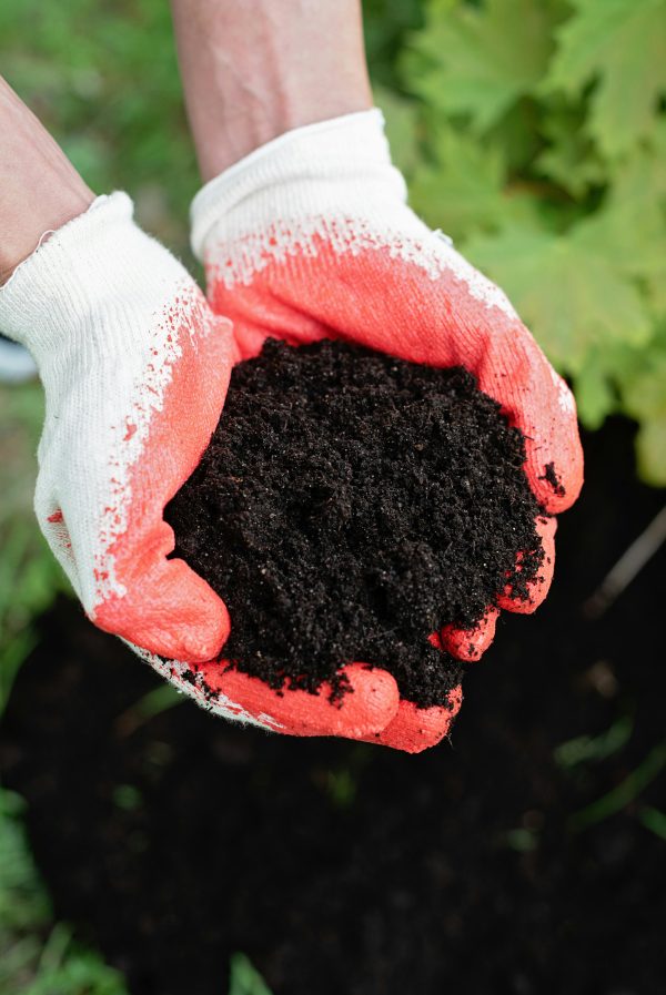 Compost - Image 4